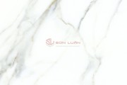 Gạch Ốp Lát APODIO 66161001